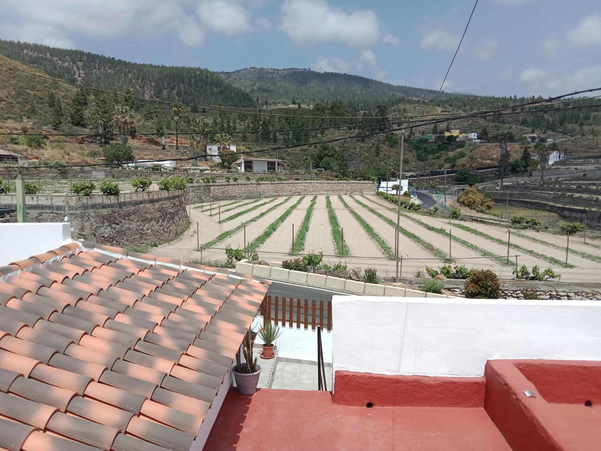 Casa El Escano Granadilla De Abona Ngoại thất bức ảnh